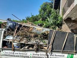 Best Furniture Removal  in Dexter, MI